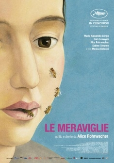 Le meraviglie (2014)