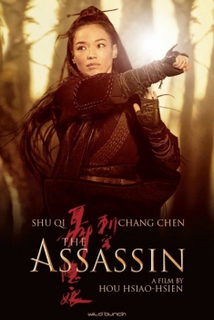 The Assassin (2015) The Assassin (2015)