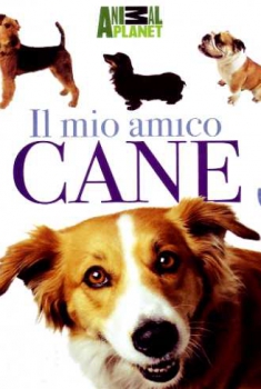 Il mio amico cane (2011)