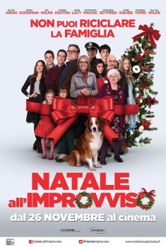 Natale all'improvviso (2015)
