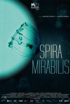 Spira Mirabilis (2016)