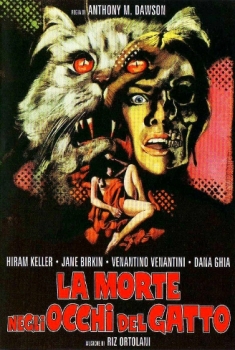 La morte negli occhi del gatto (1973)