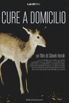 Cure a domicilio (2015) Cure a domicilio (2015)