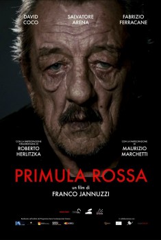 Primula rossa (2019)