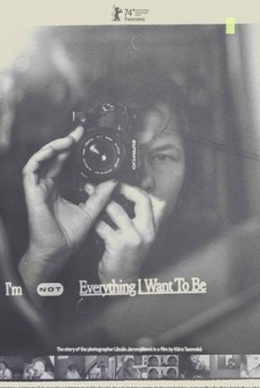 I'm Not Everything I Want to Be (2024)